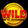 Wild symbol in Hot Puzzle slot