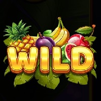 Wild symbol in Fruit Heaven Hold And Win slot