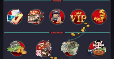 Pin-up casino: Coins