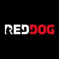 RedDog casino Canada logo