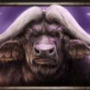 Buffalo symbol in Savanna Roar slot