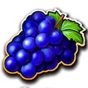 500 Juicy Fruits: Grapes