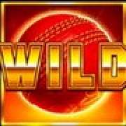 Wild symbol in Cricket Heroes slot
