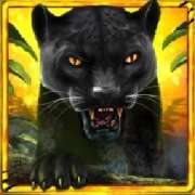 Panther symbol in Mighty Wild Panther Grand Gold Edition slot