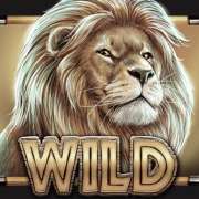Wild symbol in Savanna Roar slot