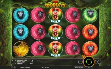 7 Monkeys slot (Canada)