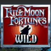 Wild symbol in Full Moon Fortunes slot