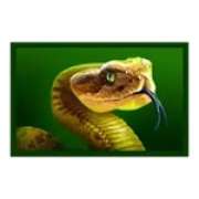 Snake symbol in Immortal Ways Buffalo slot