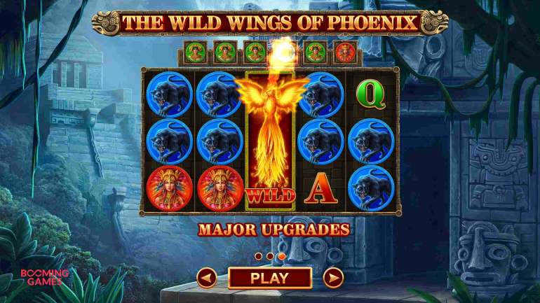 The Wild Wings Of Phoenix