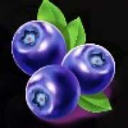 Blueberry symbol in Extra Juicy Megaways slot