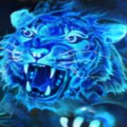 9 Tigers: Blue tiger