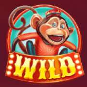 Wild symbol in Wild Circus slot
