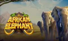 Play African Elephant