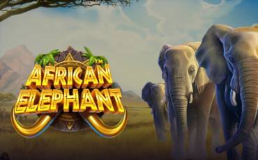 African Elephant slot (Canada)