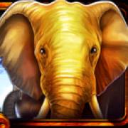 African Luck: elephant