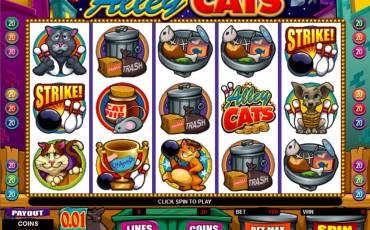 Alley Cats slot (Canada)