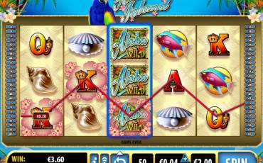 Aloha Island slot (Canada)