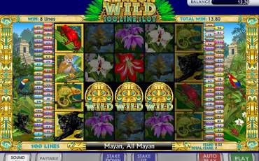 Amazon Wild slot (Canada)