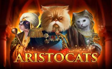 Aristocats slot (Canada)