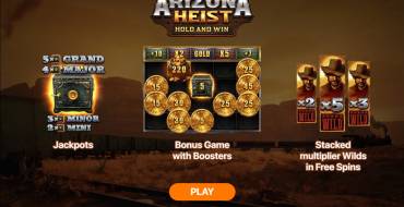 Arizona Heist: Hold and Win: Unique features