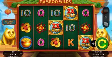 Bamboo Wilds: Slot machine