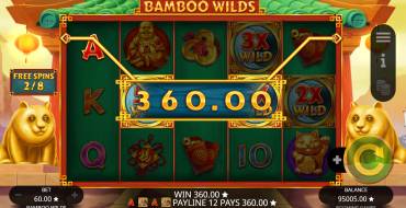 Bamboo Wilds: Winnings