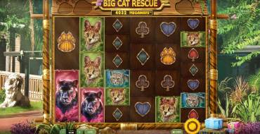 Big Cat Rescue Megaways: Slot machine