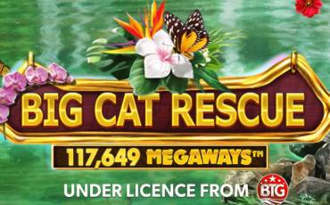 Big Cat Rescue Megaways slot (Canada)