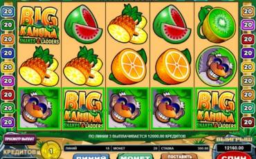 Big Kahuna: Snakes and Ladders slot (Canada)