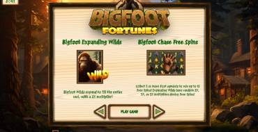 Bigfoot Fortunes: Interface