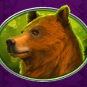 Bison Bonanza: Bear