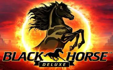 Black Horse Deluxe slot (Canada)