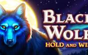 Black Wolf (logo)