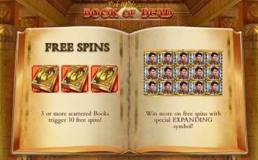 Book of Dead slot (Canada)