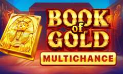 Play Book of Gold Multichance