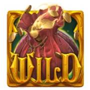 Book of Thieves: Wild