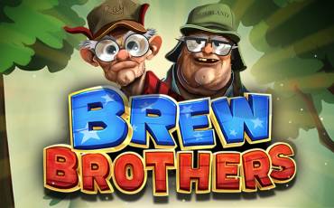 Brew Brothers slot (Canada)