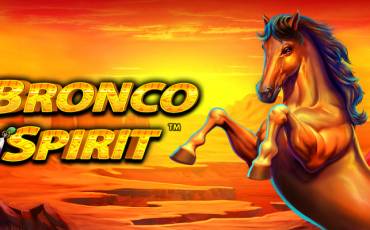 Bronco Spirit slot (Canada)