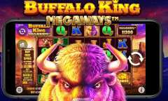 Play Buffalo King Megaways