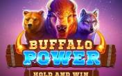 Buffalo Power: Hold and Win (logo)