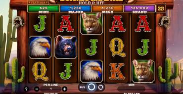 Buffalo Rampage – Hold & Hit: Slot machine