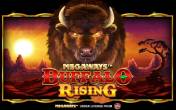 Buffalo Rising Megaways All Action (logo)