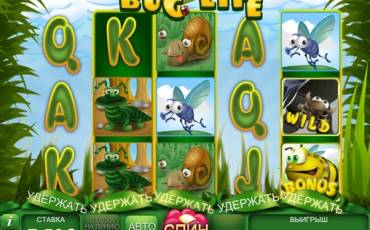 Bug Life slot (Canada)