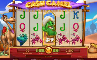 Cash Camel slot (Canada)