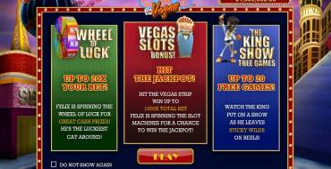 Cat in Vegas: Main Information