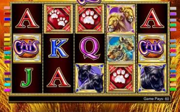 Cats slot (Canada)