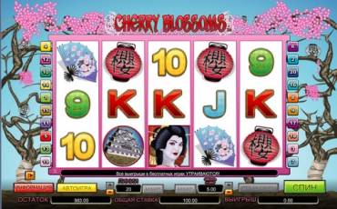 Cherry Blossoms slot (Canada)