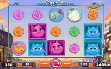 Copy Cats slot (Canada)