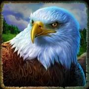 Cougar Cash: Eagle