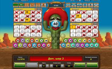 Crazy Cactus Bingo slot (Canada)